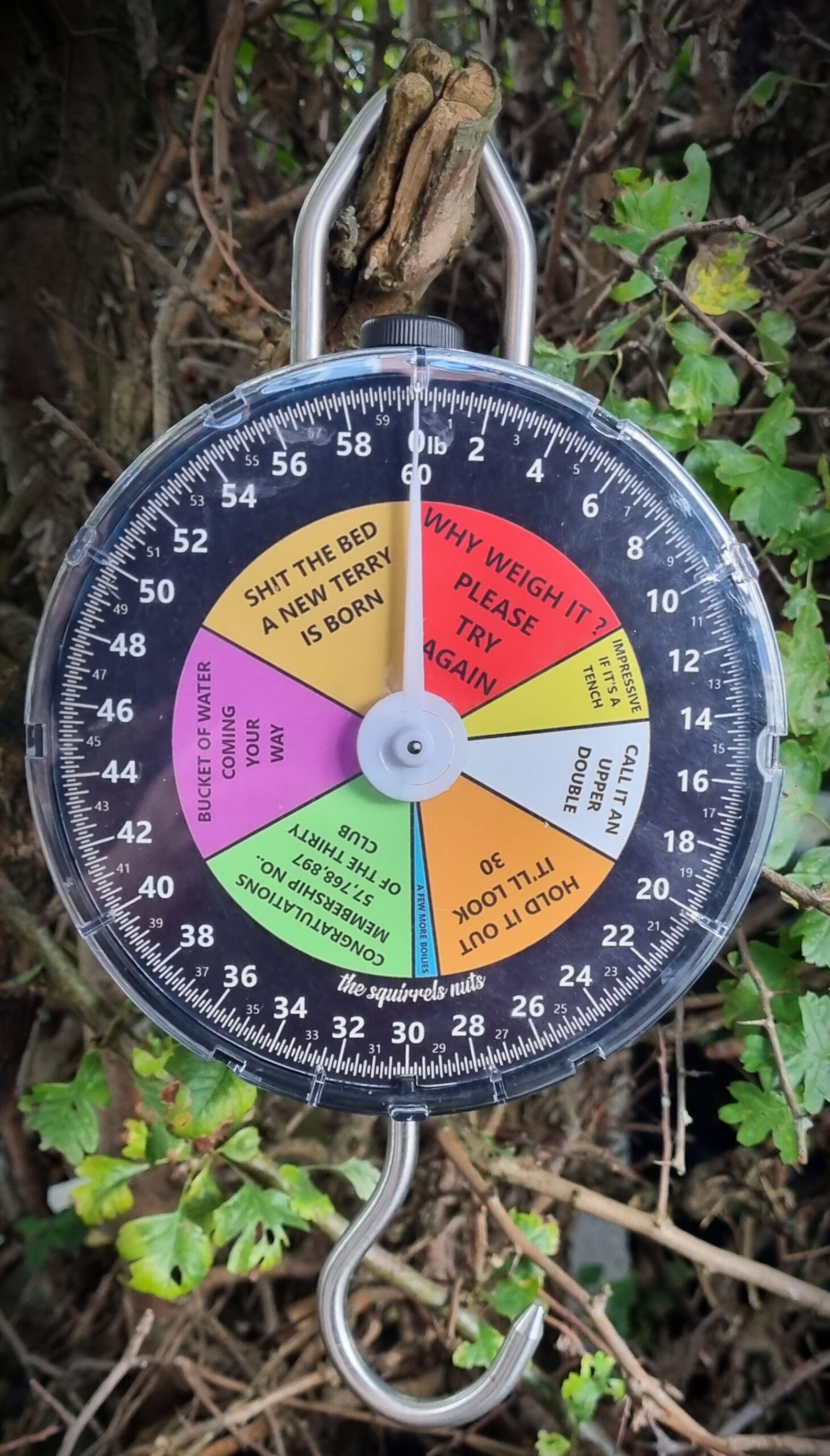 Squirrel Scale Full Set of 60lb x 2oz Scales (Any Design) - The Squirrels Nuts